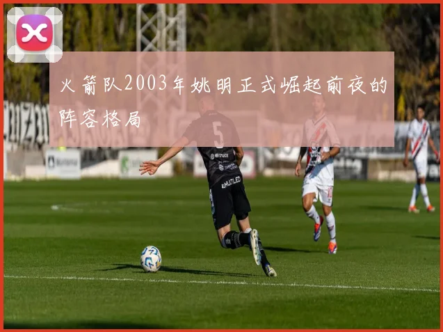 火箭队2003年姚明正式崛起前夜的阵容格局