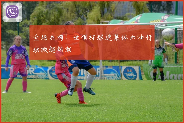 全场共鸣!世俱杯球迷集体加油行动掀起热潮