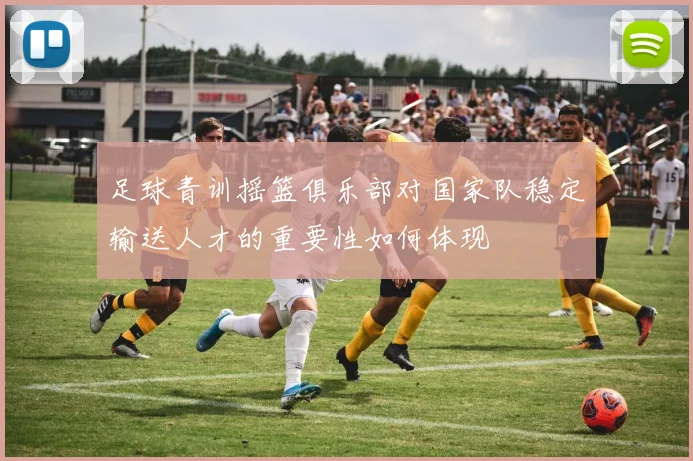 足球青训摇篮俱乐部对国家队稳定输送人才的重要性如何体现