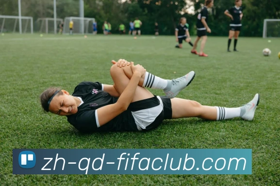 世界杯直播平台生态图