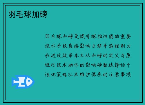 羽毛球加磅
