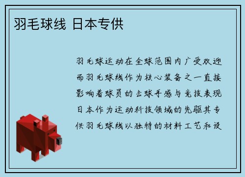 羽毛球线 日本专供